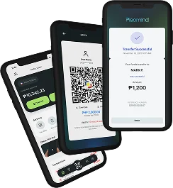 Mobile wallet app preview